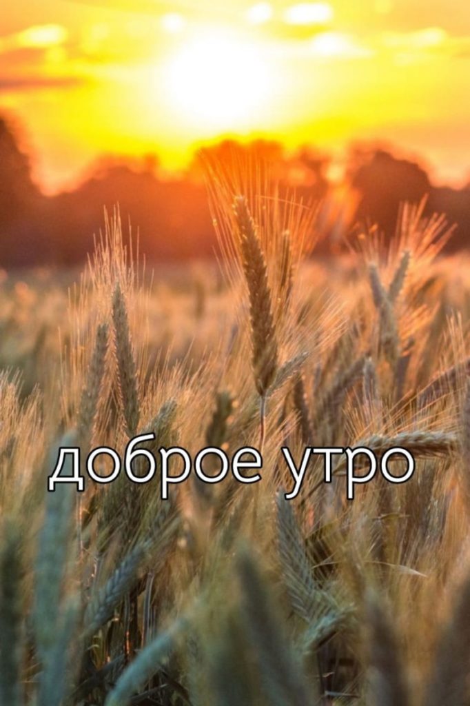 Доброе утро доброго дня природа