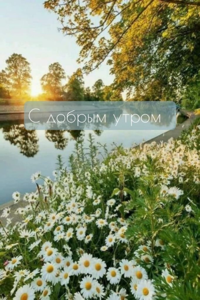 Доброе утро доброго дня природа