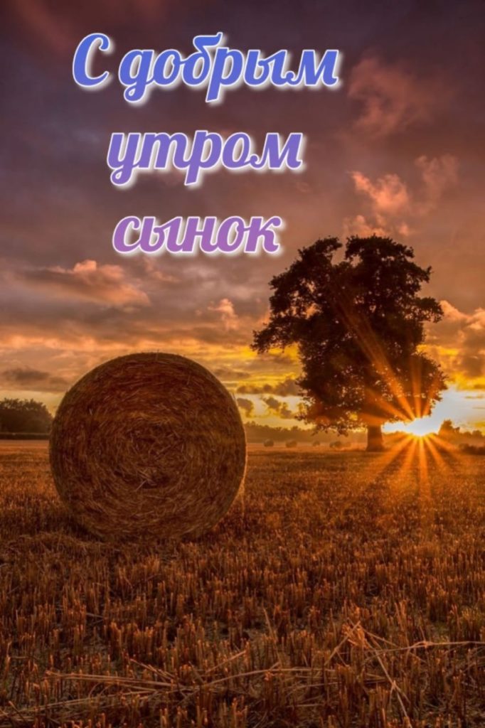 Доброе утро сынок