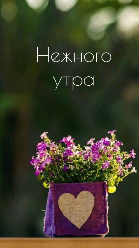 Нежное доброе утро девушке