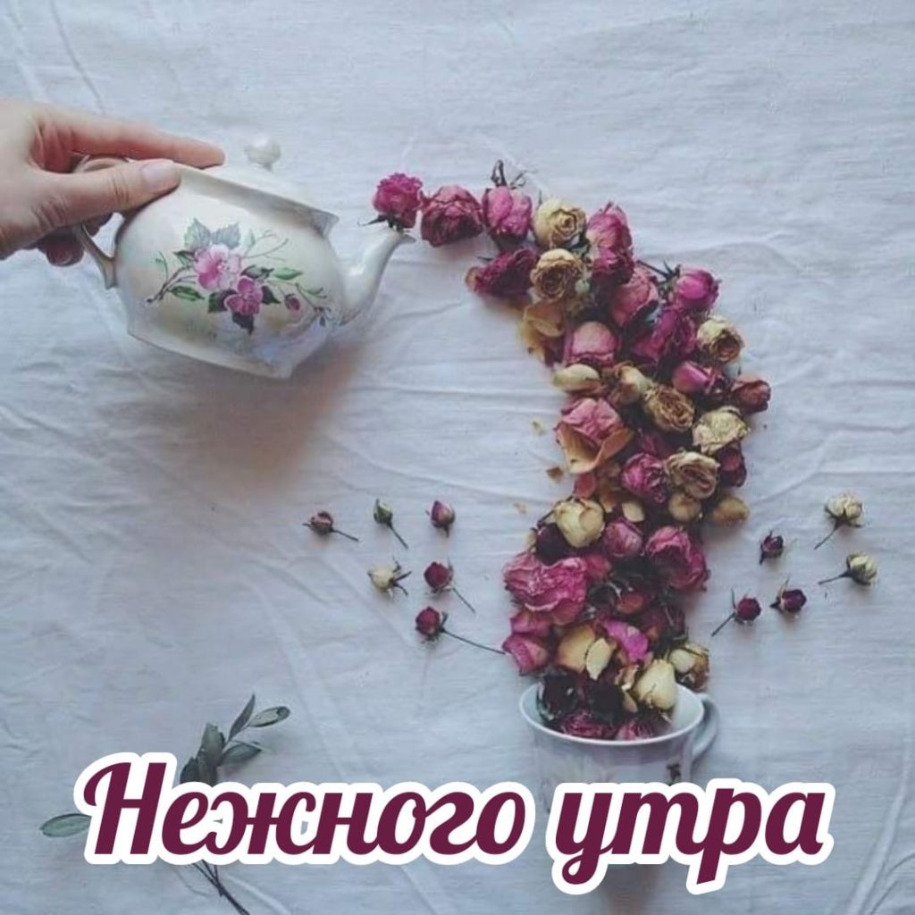 Нежное доброе утро девушке