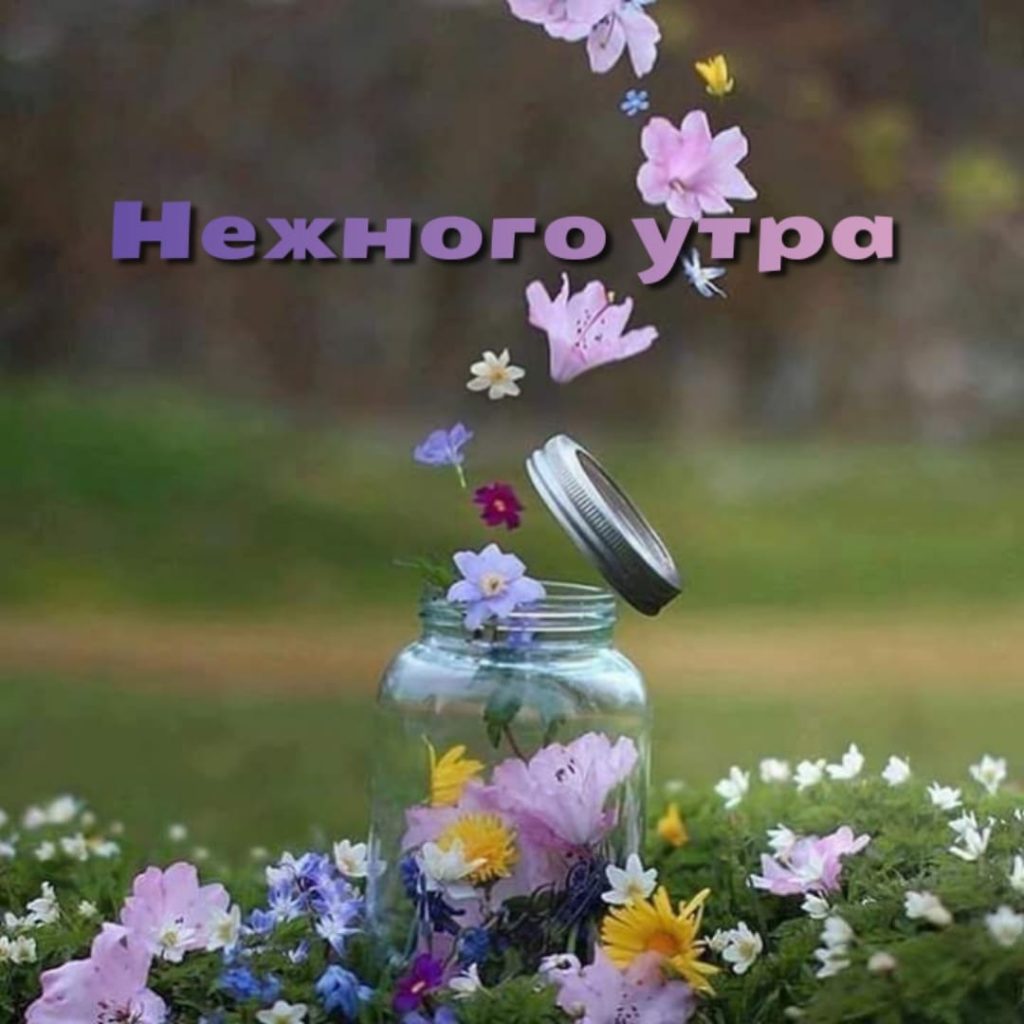 Нежное доброе утро девушке